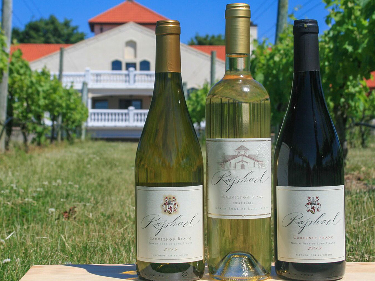 Long Island vineyard - Day Trips from Manhattan