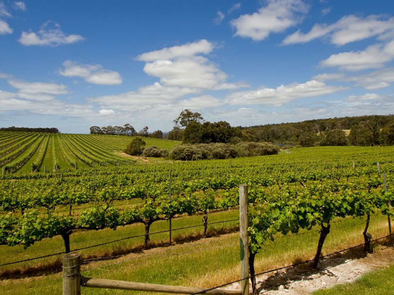 Margaret River