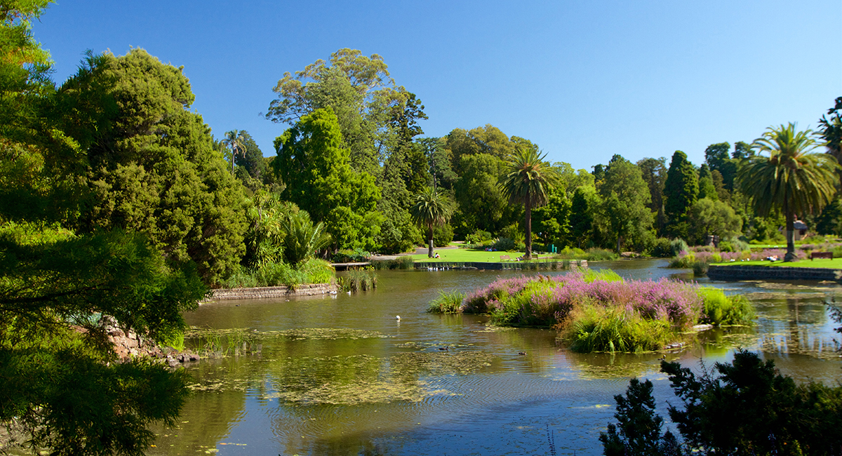 Royal Gardens