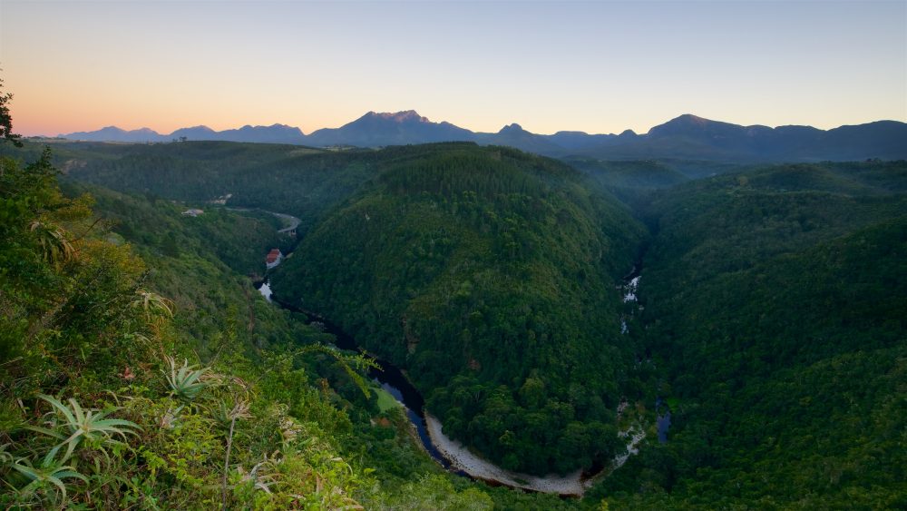 Aerial view of a mountain and forest in South Africa