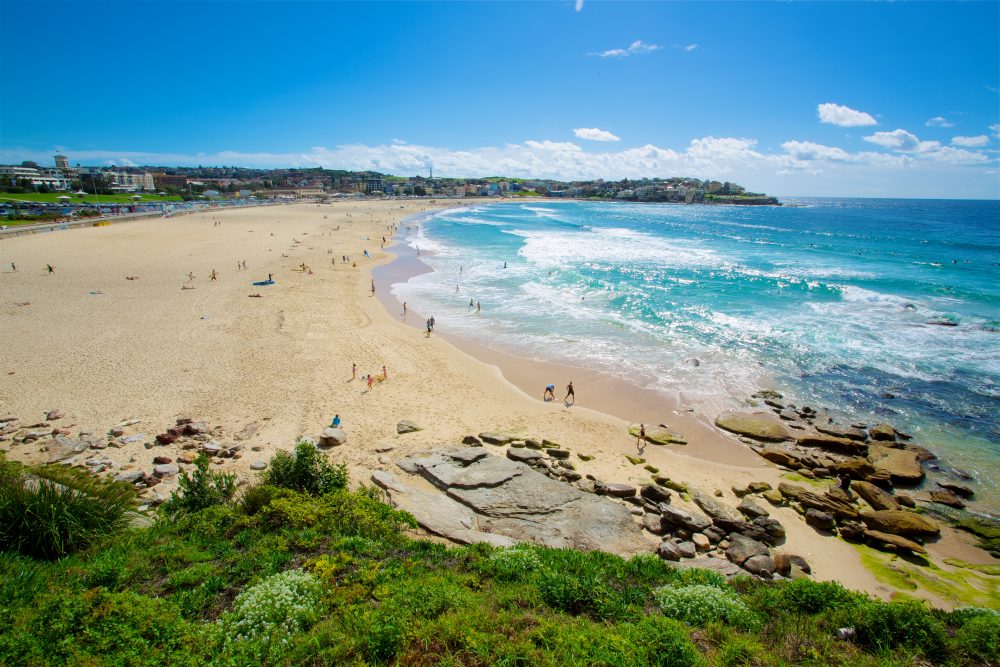View overlooking Bondi beach and lush vegetation