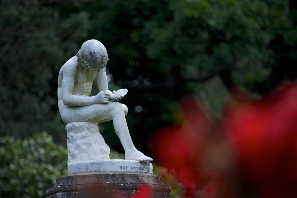 royal botanic gardens, Sydney