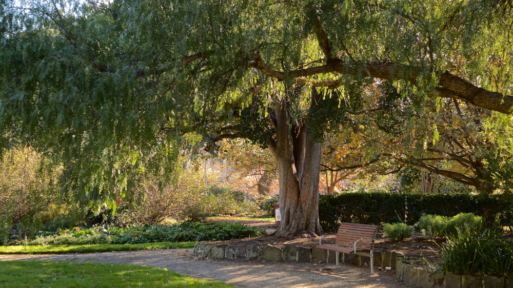st vincent gardens