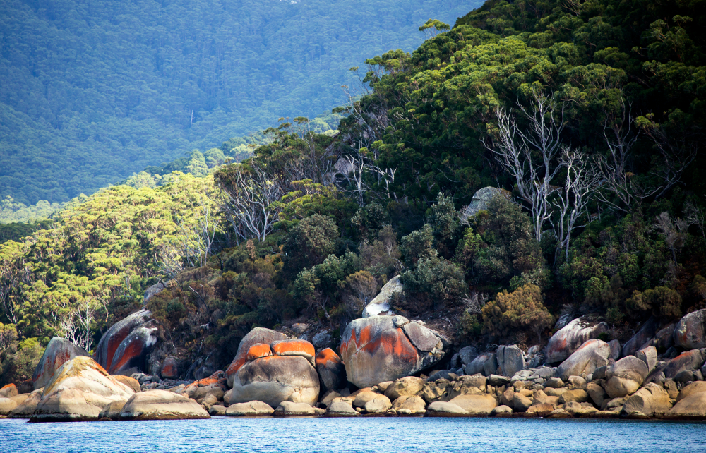 wilson's promontory